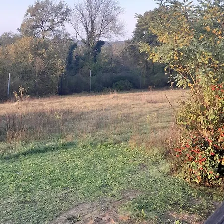 Maison De La Truffiere * Bertric-Burée