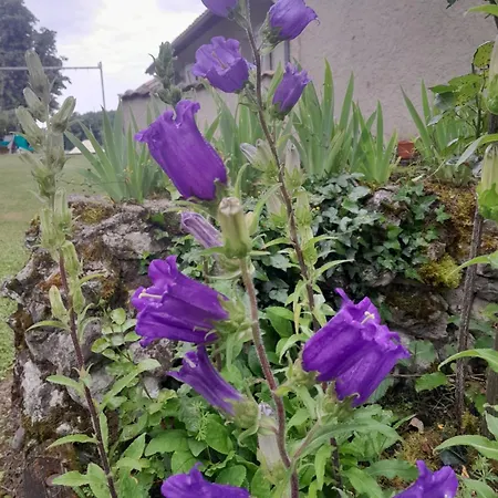 Maison De La Truffiere Ferienhaus *