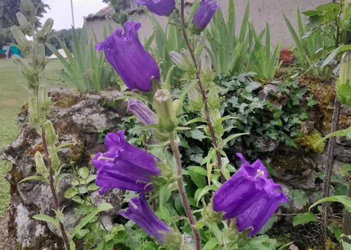 Maison De La Truffiere Vakantiehuis *